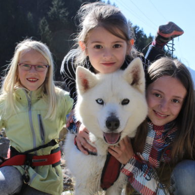 Schlittenhunde und Kinder im Muotatal