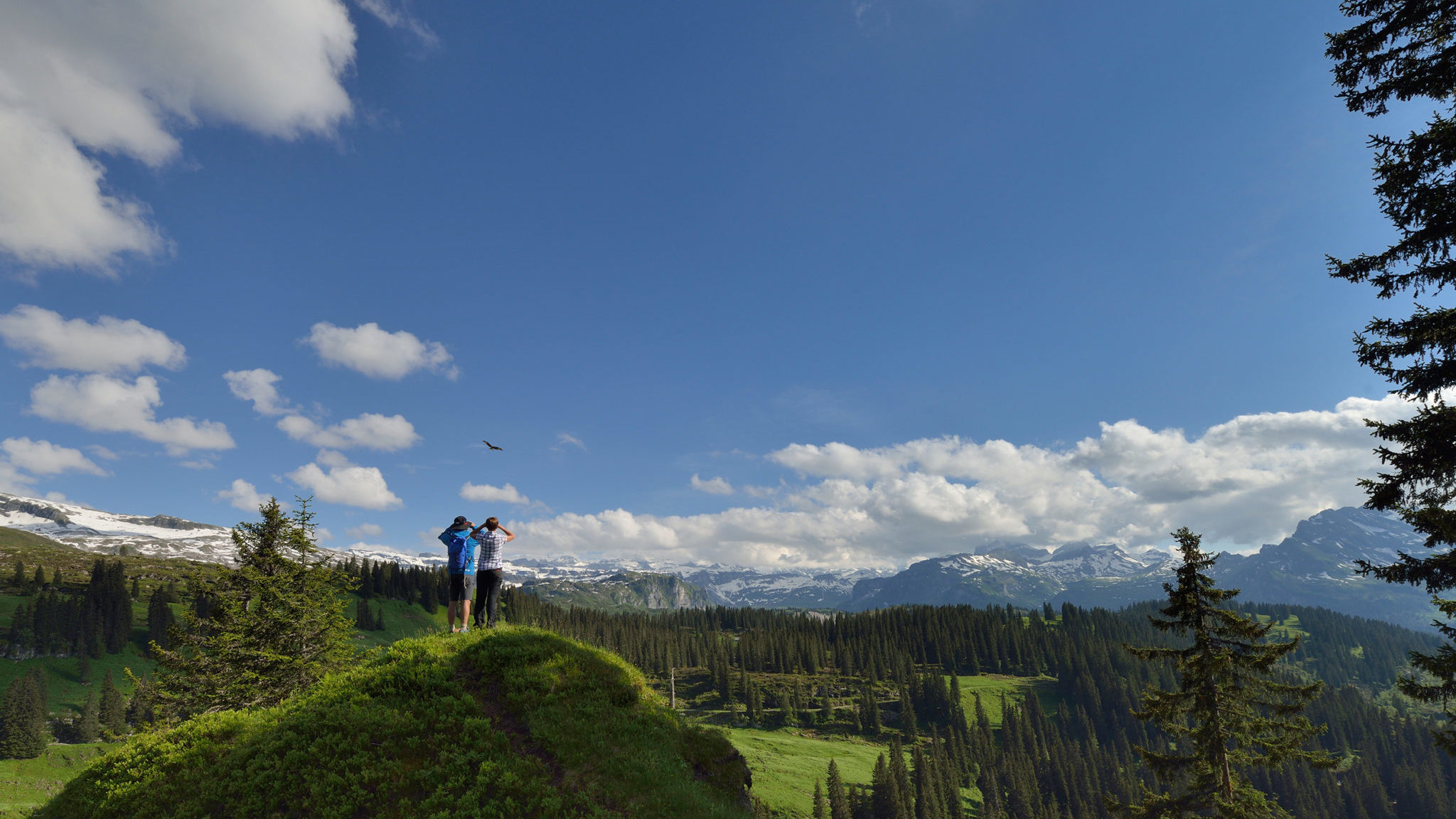 Aussicht Bödmerenwald