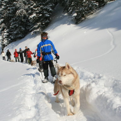 Huskytrekking Muotatal