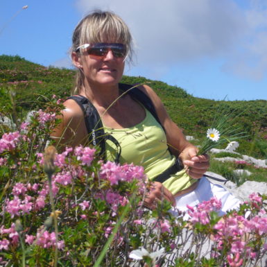 Alpenblumen im Muotatal